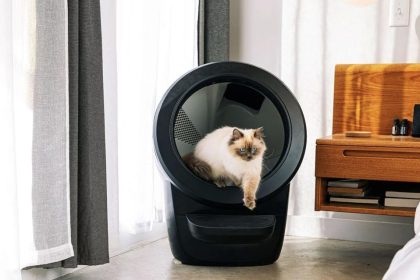 Best Kitty Litter Box
