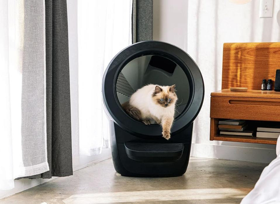 Best Kitty Litter Box