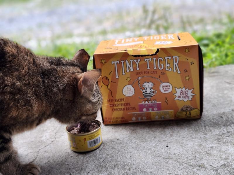 Tiny Tiger Cat Food Review