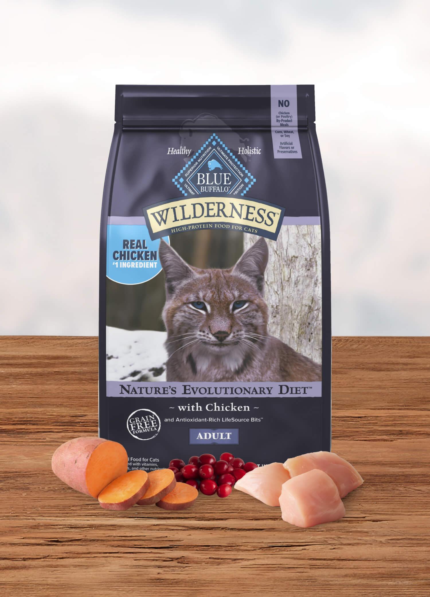 The Ideal Age to Introduce Solid Cat Food